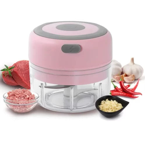 Mini Stainless Electric Kitchen Chopper