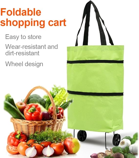 Dual use Hand Carry and Shopping Bag